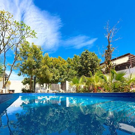 Commercial Zone Studios, Pool, Bbq And Beach 7 Blocks La Paz Eksteriør billede